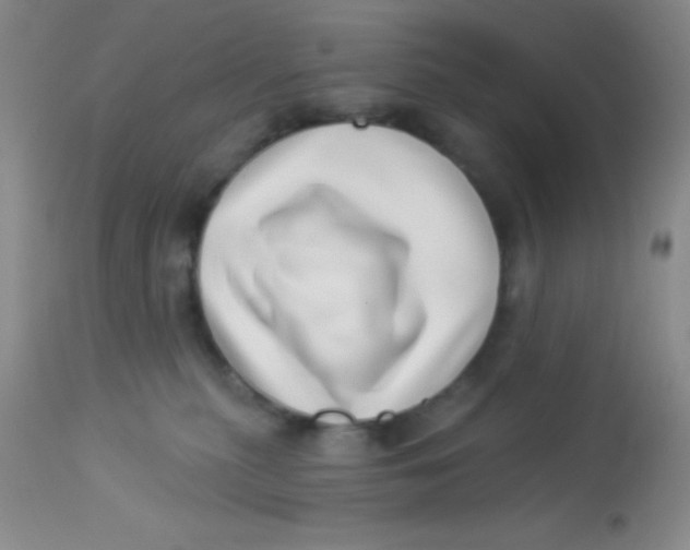 X0000112890279200909181919