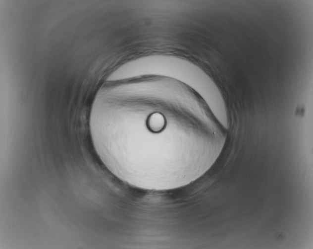 X0000112890280200909181919