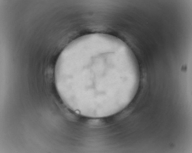 X0000112890281200909181919