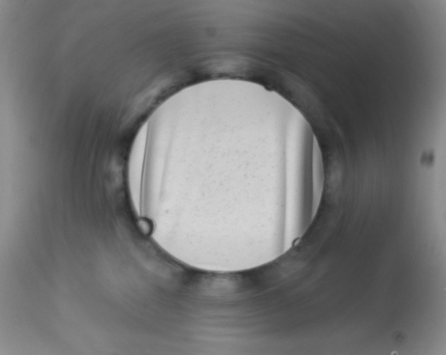 X0000112890282200909181919