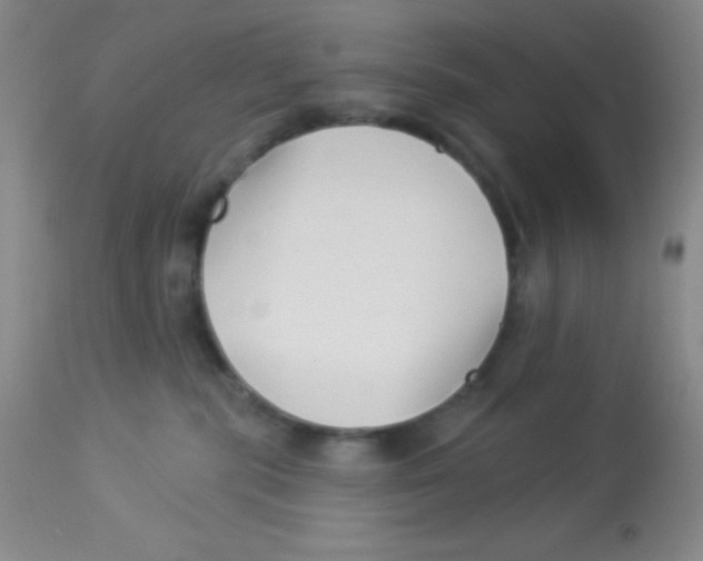 X0000112890283200909181919