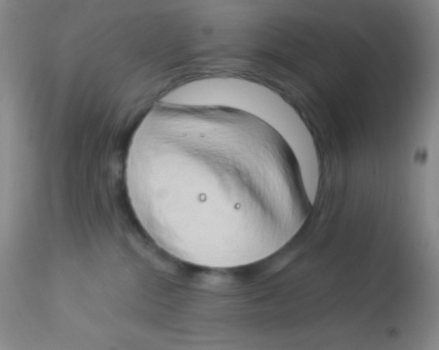 X0000112890284200909181919