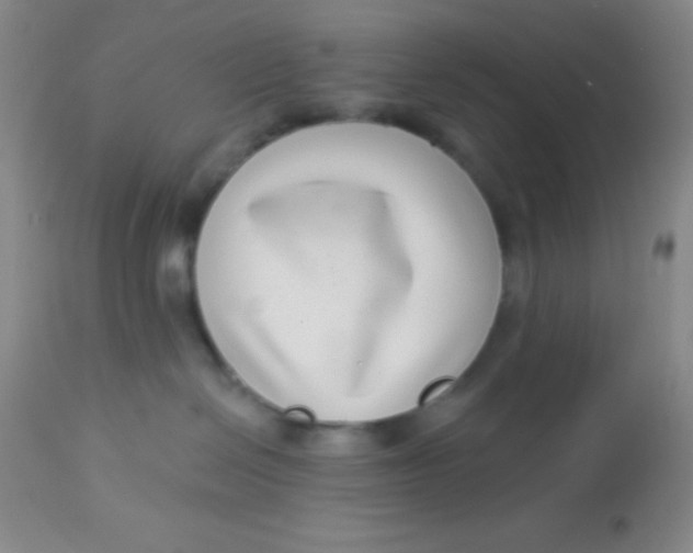 X0000112890286200909181919
