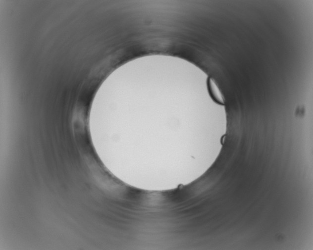 X0000112890287200909181919