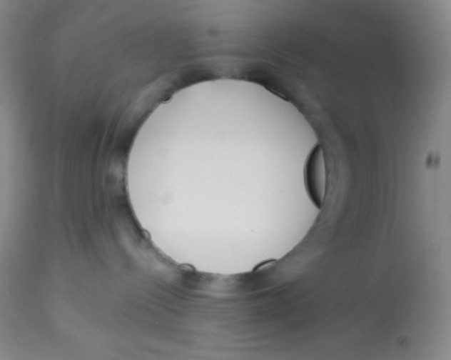 X0000112890288200909181919