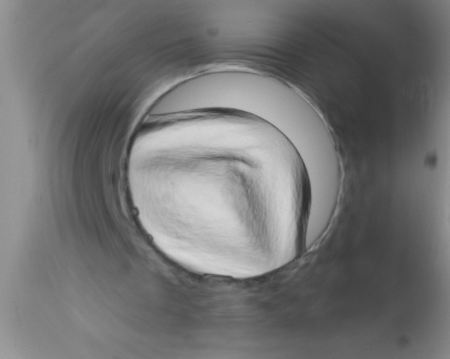 X0000112890289200909181918
