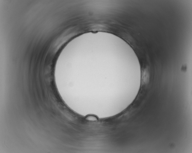 X0000112890291200909181918