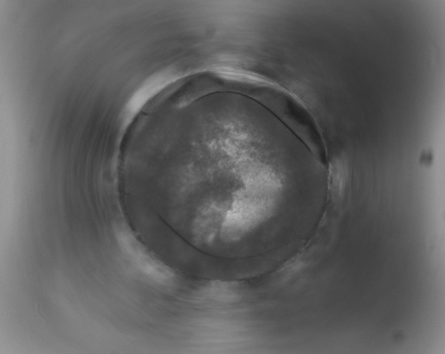 X0000112890292200909181918