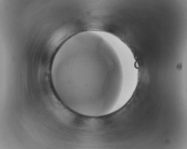 X0000112890293200909181918