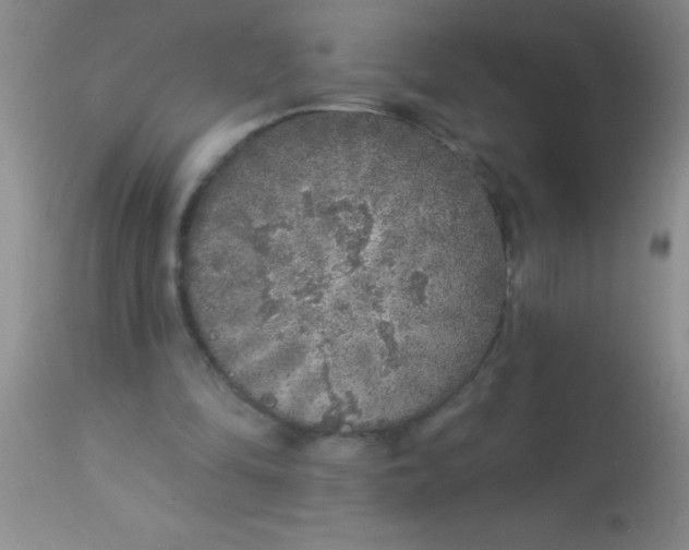 X0000112890294200909181918