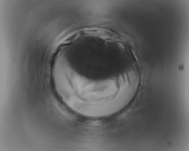 X0000112890295200909181918