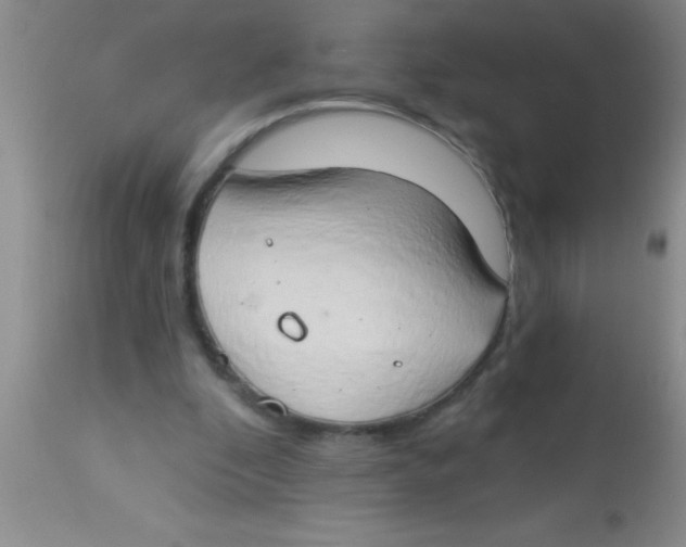 X0000112890296200909181918