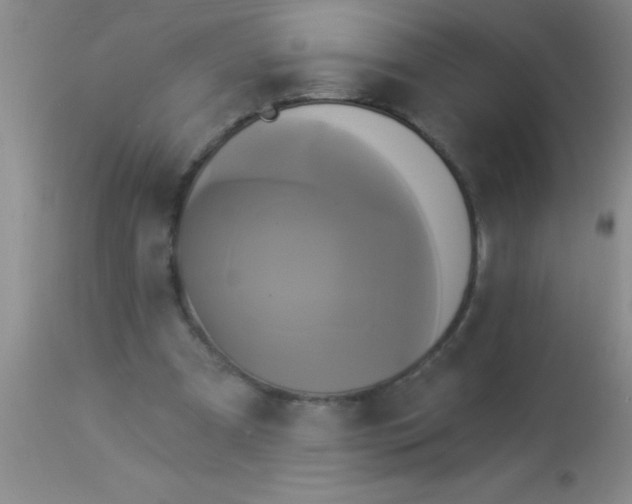 X0000112890297200909181918