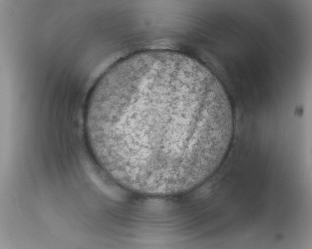 X0000112890298200909181918
