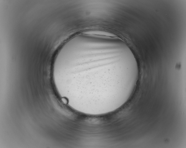 X0000112890299200909181918