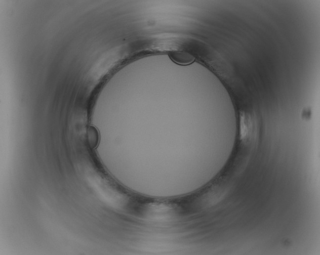 X0000112890300200909181918