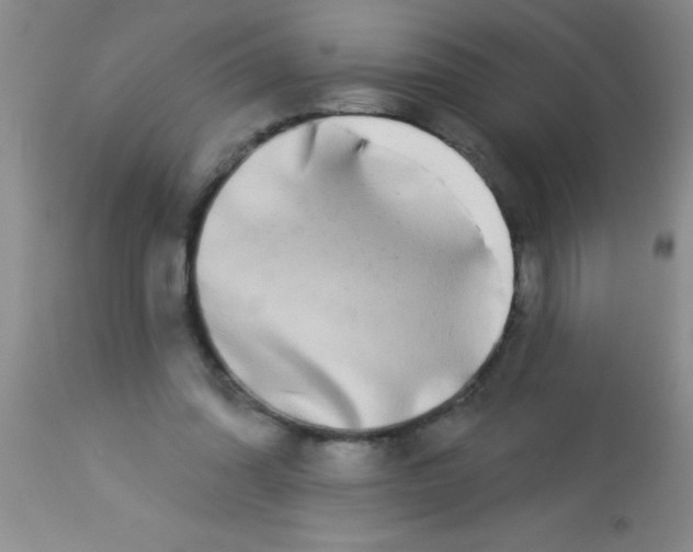 X0000112890302200909181918