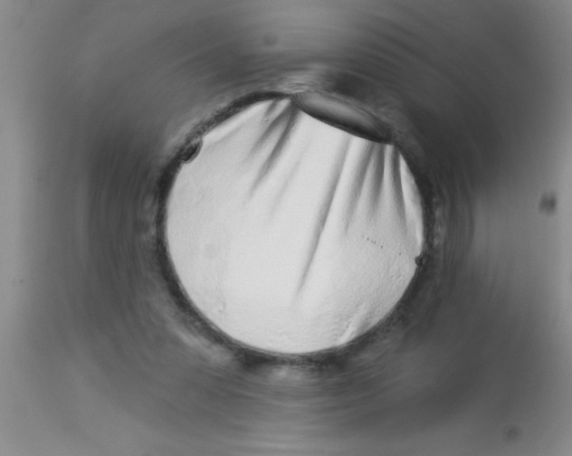 X0000112890303200909181918