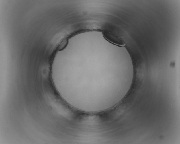 X0000112890304200909181918
