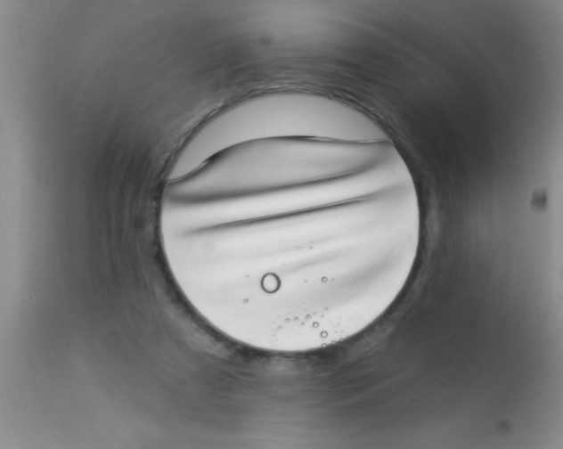 X0000112890305200909181918
