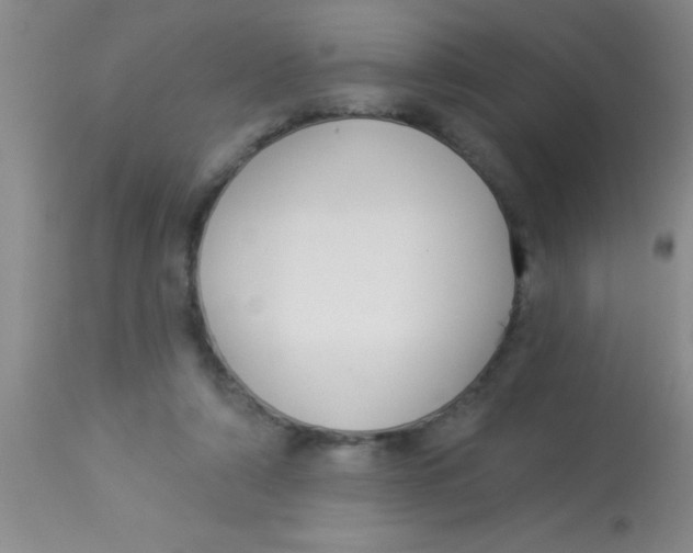 X0000112890306200909181918