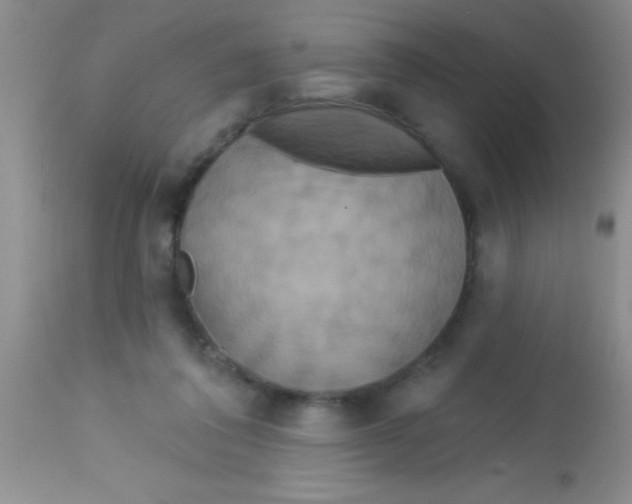 X0000112890308200909181918
