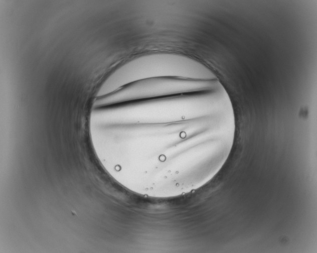 X0000112890309200909181918