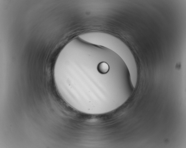 X0000112890312200909181918