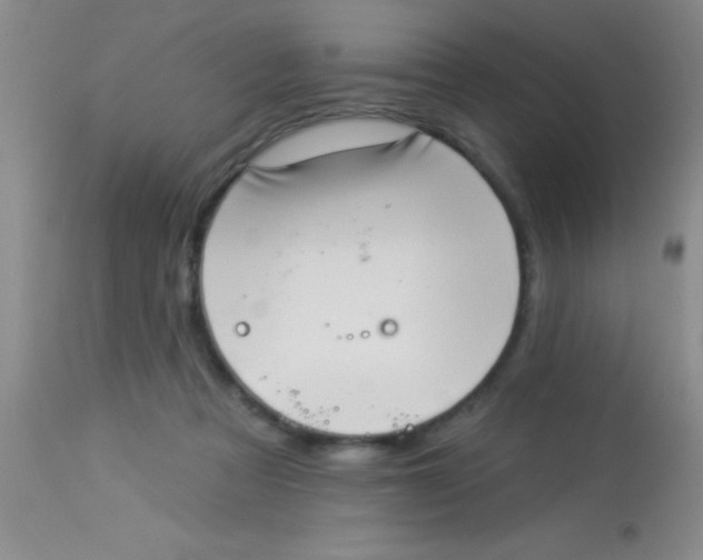 X0000112890313200909181918