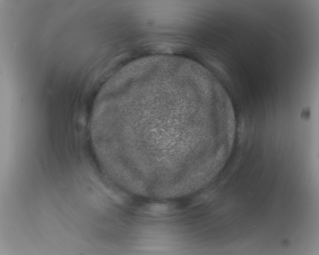 X0000112890314200909181918