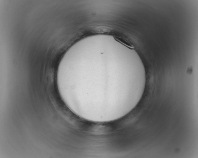 X0000112890315200909181918