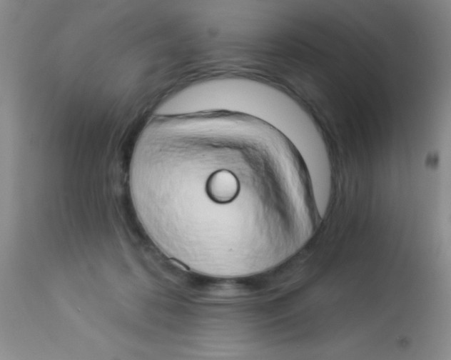 X0000112890316200909181918
