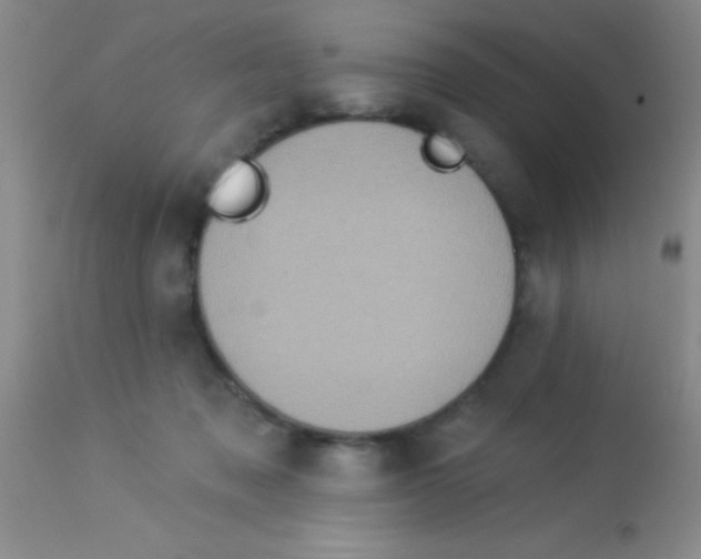 X0000112890317200909181918