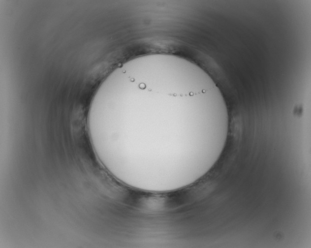 X0000112890318200909181918
