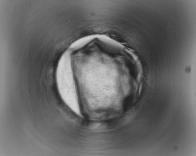 X0000112890319200909181917
