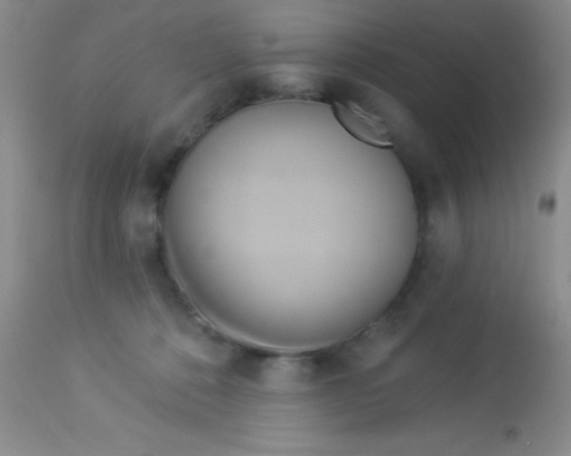 X0000112890320200909181917