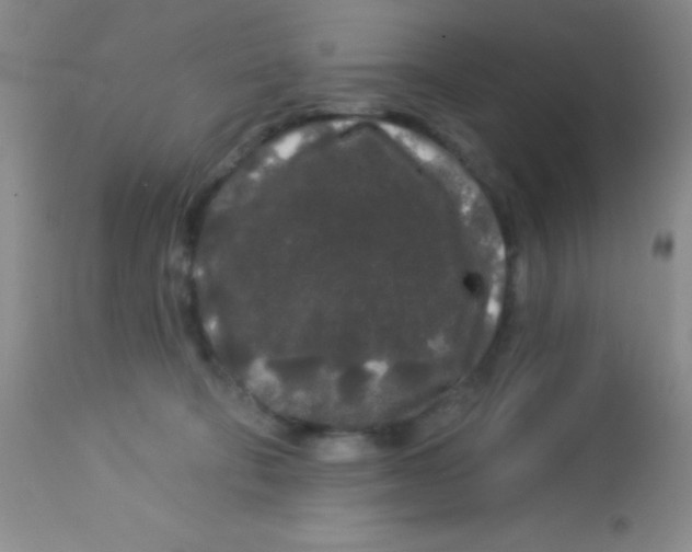 X0000112890322200909181917