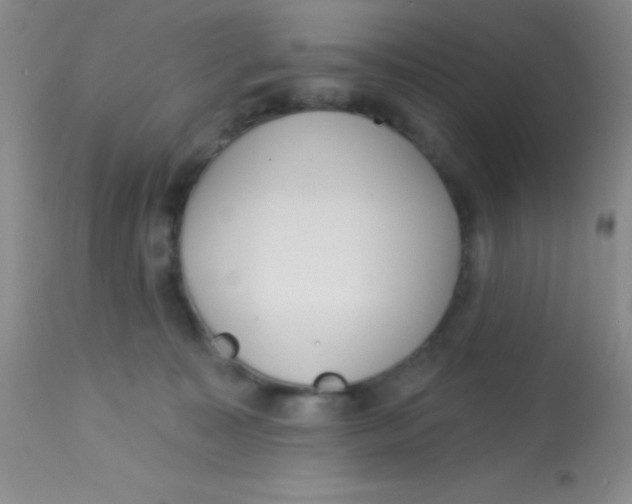 X0000112890323200909181917