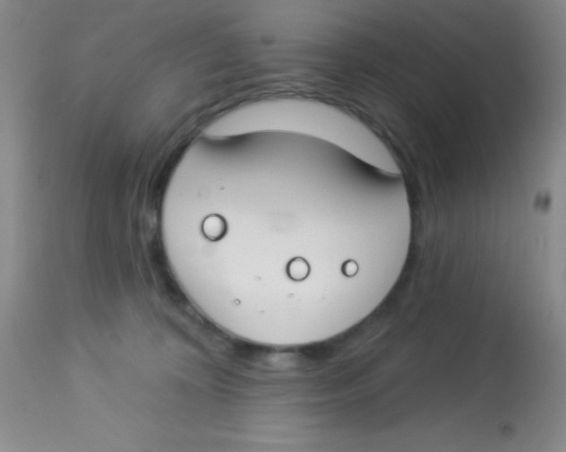 X0000112890324200909181917