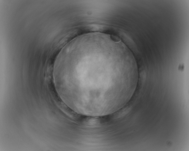 X0000112890325200909181917