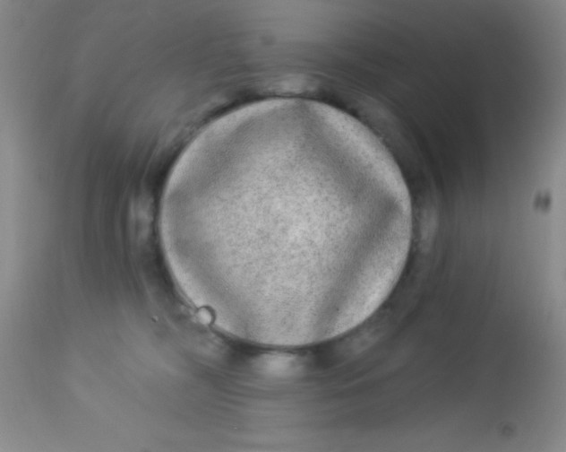 X0000112890326200909181917