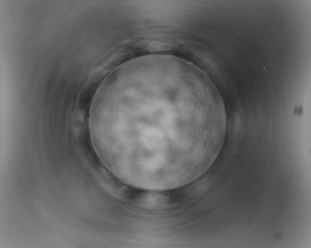 X0000112890327200909181917