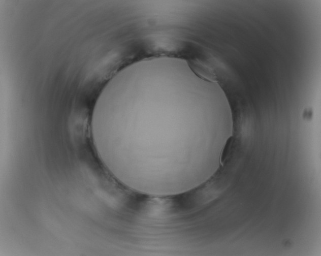 X0000112890328200909181917