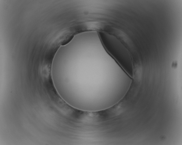 X0000112890329200909181917