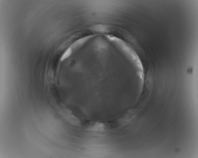 X0000112890330200909181917