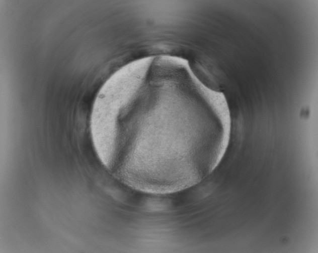 X0000112890331200909181917