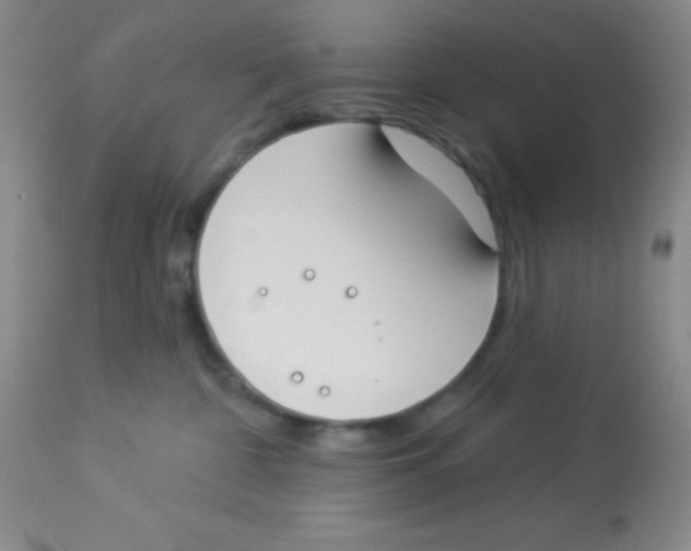 X0000112890332200909181917
