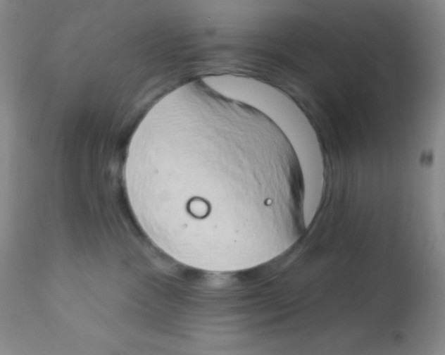 X0000112890333200909181917