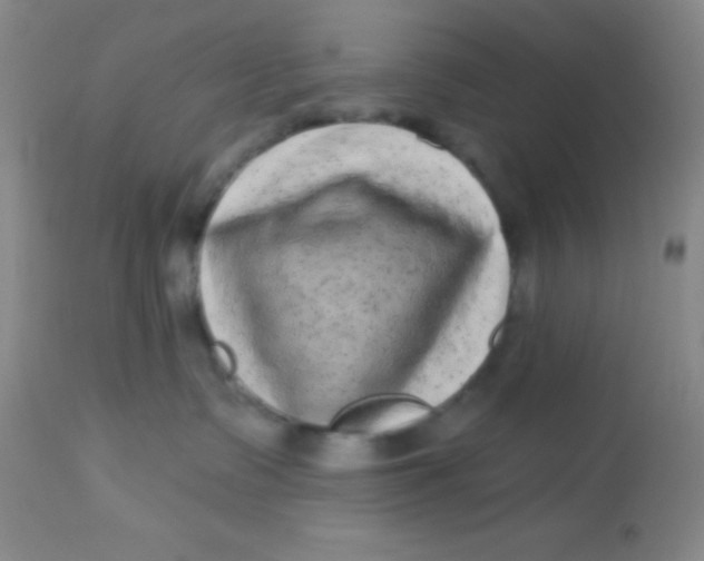 X0000112890335200909181917