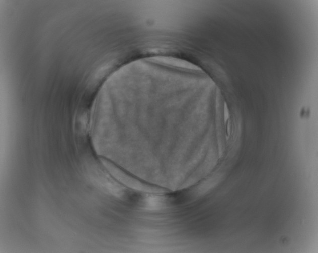 X0000112890336200909181917